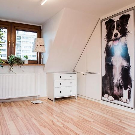 גליביצ'ה Apartament Lux-Centrum מראה חיצוני תמונה